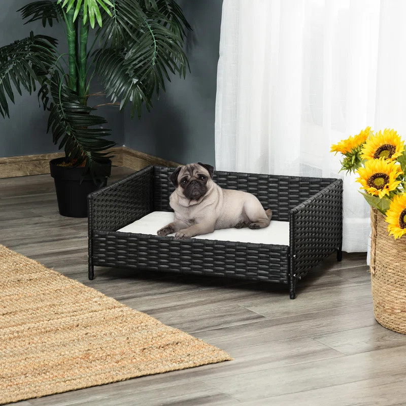 Beneccio Rattan Bed Raised Wicker Small Animal Indoor & Outdoor with Soft Water-Resistant Cushion... | Wayfair North America