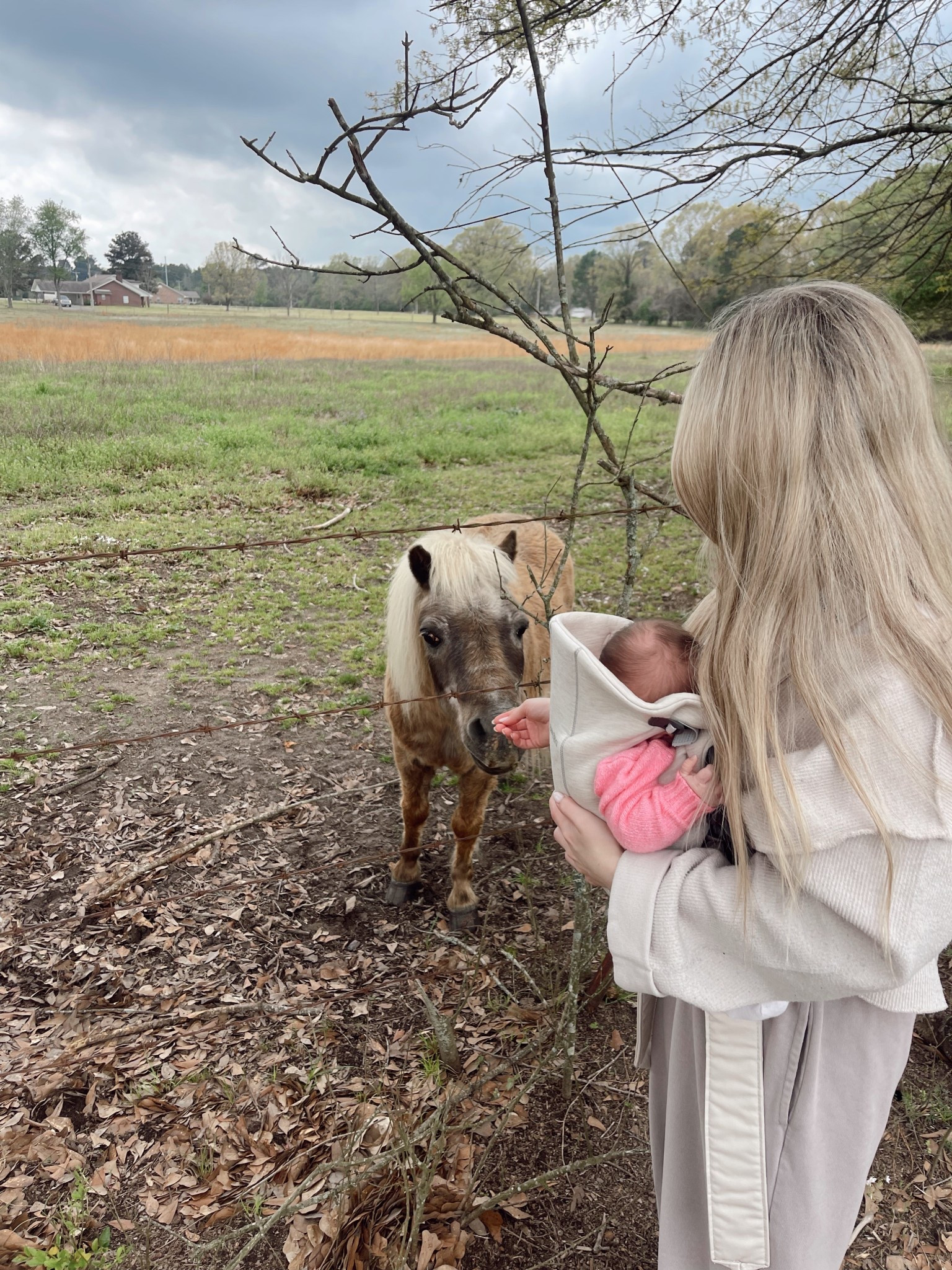 🤠

baby carrier, baby must haves, newborn accessories, gifts for the new mom, new mama, gifts for her, mother’s day 

#LTKBaby #LTKFamily #LTKActive