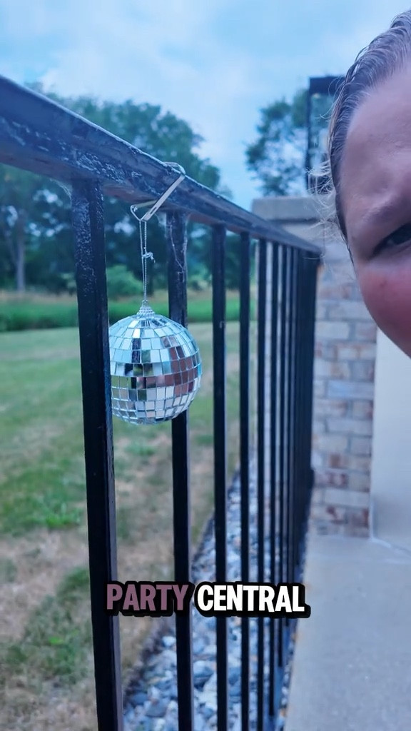 Life hack I didn’t even think would work but I was desperate—hung disco balls around the pool and gave it a week. Usually we’re swatting horse flies the whole time we swim but in the last week we’ve only seen TWO. TWO. I don’t know the science, I don’t care. I’m calling this a win.

#LTKSeasonal #LTKHome #LTKFindsUnder50