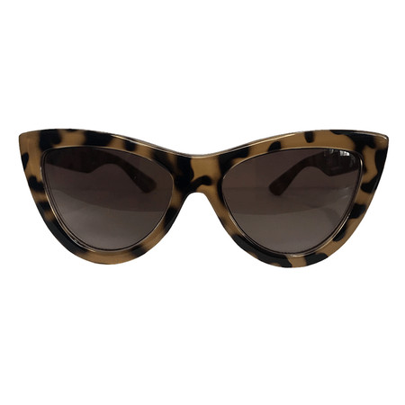 GATINHO BELLE ONÇA | AC Brazil (BR)