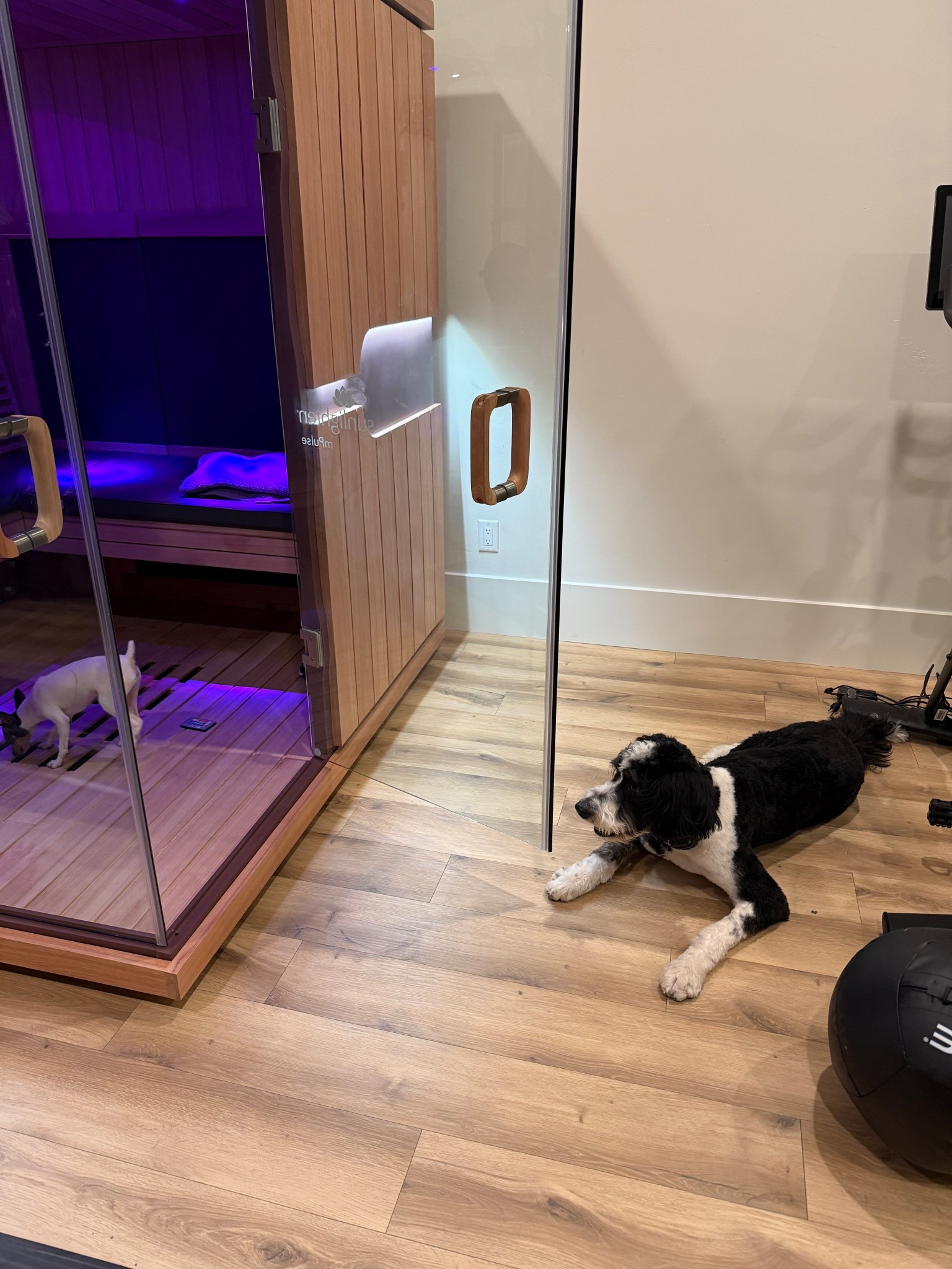 There are details about my sauna on my IG highlights. I am a huge believer in red light therapy. Linking some of my favorite gym gear. 


#LTKdayinmylife #LTKHome #LTKActive