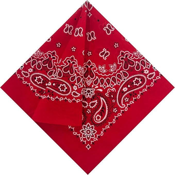 Single Pack Bandanas 60s Premium Cotton Soft Thin Handfeel Large Handkerchief for Men and Women | Amazon (US)