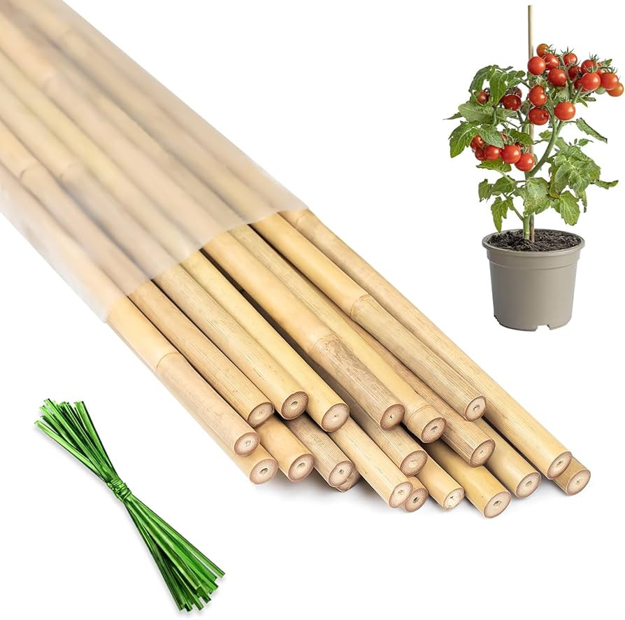 Plant Stakes 18inch, 20Pcs Natural Bamboo Sticks Garden Stakes, HAINANSTRY Plant Support Stakes f... | Amazon (US)
