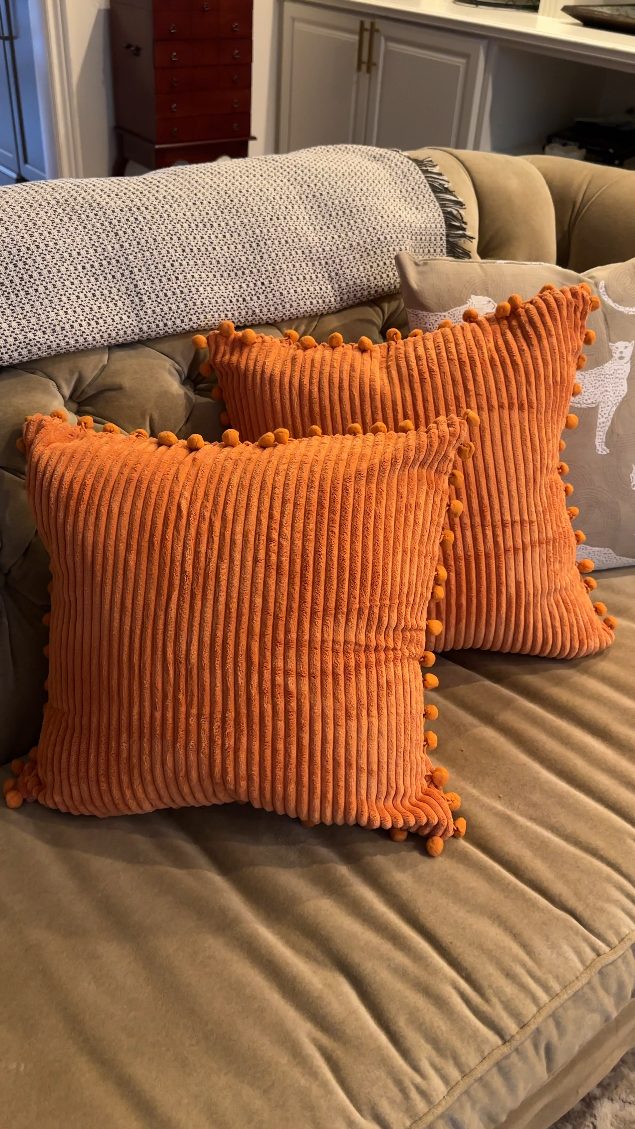 Amazon pillow covers that are perfect for fall! Great quality and comes in different sizes and colors.

Amazon home, Amazon decor, fall decor, affordable decor 

#LTKHome #LTKVideo #LTKFindsUnder50