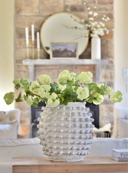 Spring Styling
Mother’s Day gift, Mother’s Day, Mother’s Day gift ideas, Afloral, Anthropologie, minka vase, textured pot, snowball, mantel styling, console table, spring florals, spring flowers. Spring decor, neutral decor, faux flowers#LTKGiftGuide

#LTKSeasonal #LTKfamily