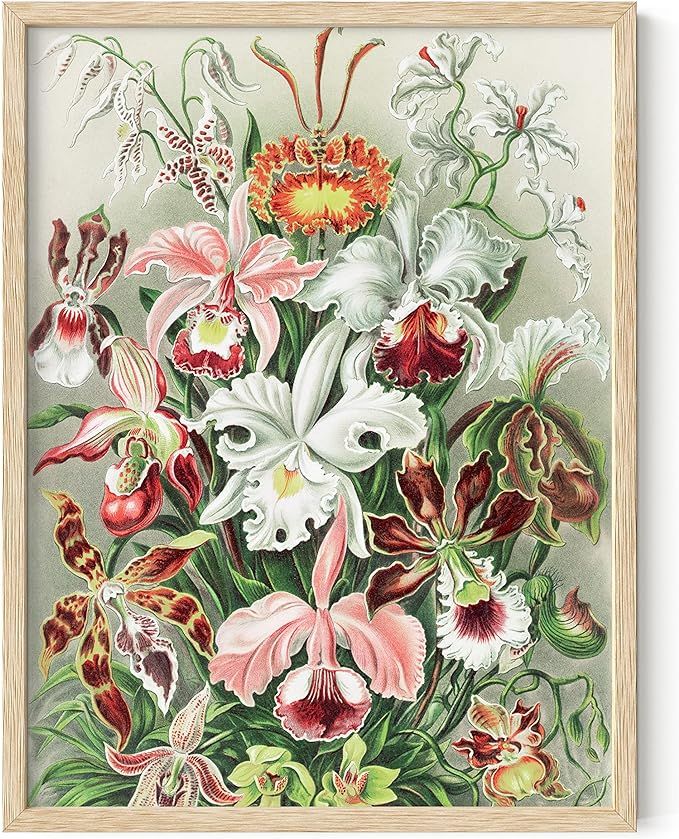 HAUS AND HUES Vintage Flower Poster Botanical Wall Art - Haeckel Vintage Botanical Prints Wall Ar... | Amazon (US)