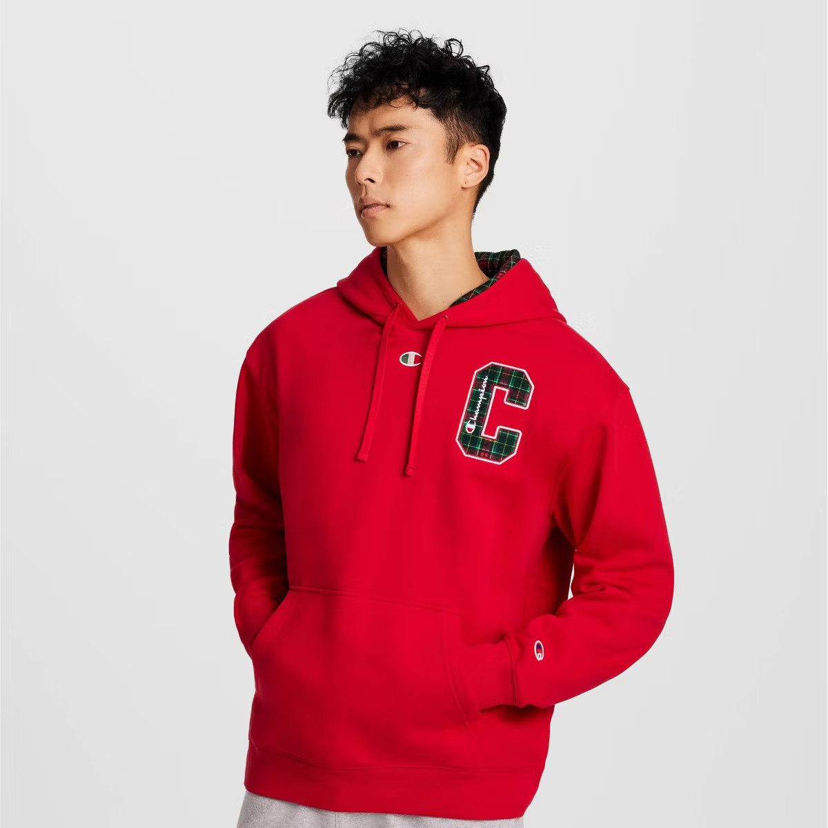 Champion Men's Plaid Hooded Sweatshirt | Target