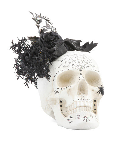 9in Rose And Fern Arrangement in Glow in The Dark Skull Pot | TJ Maxx