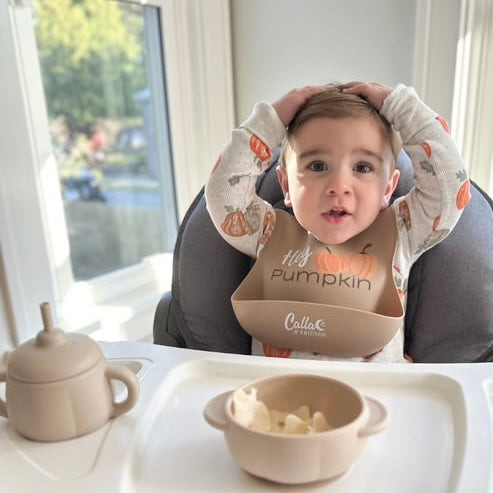 Little Turkey Collection Catch All Bib | Calla & Friends