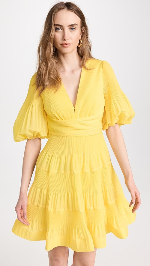 Pleated Mini Dress | Shopbop