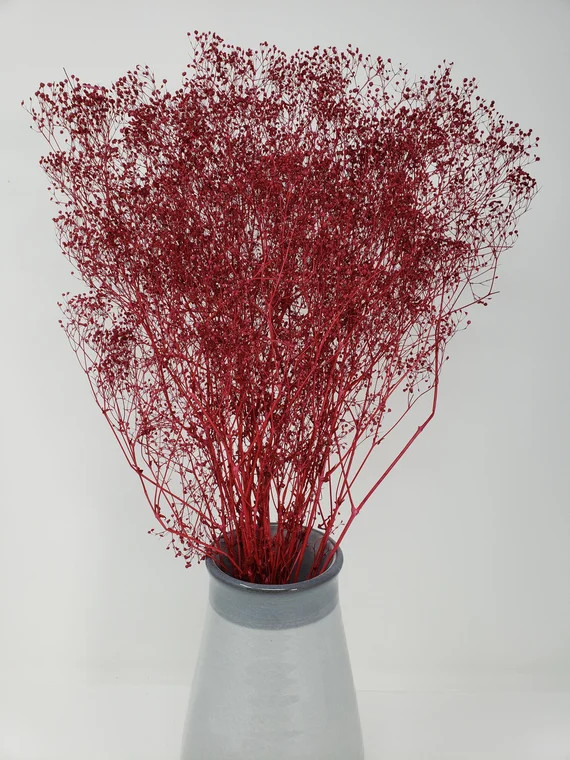 Soft Mini Baby Breath Flare Preserved in Wine Color Pack DIY - Etsy | Etsy (US)