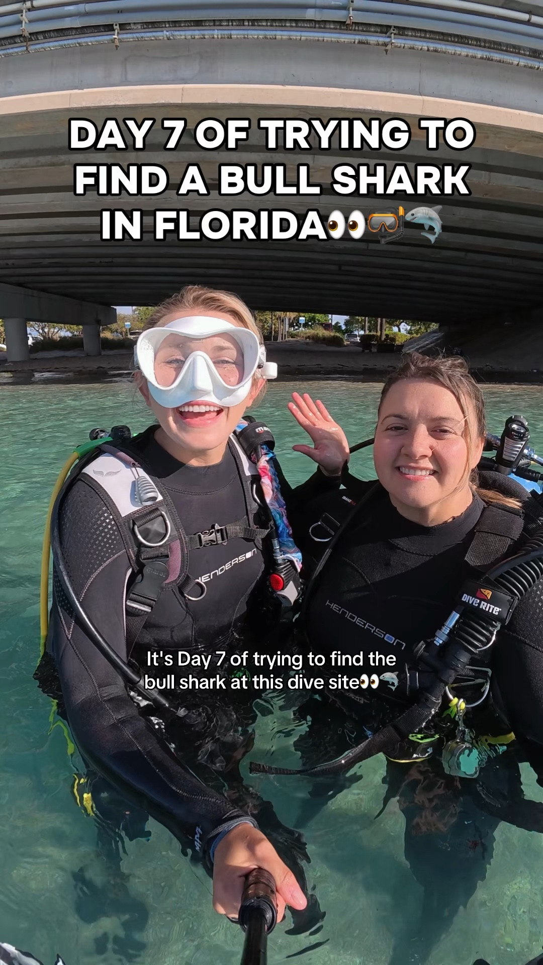 Why were there remnants of a horseshoe crab there…😳 Wait til the end for the BEST surprise!👀😱

Such an incredible dive with @ash.sharkbait 🩵🫶

#freediving #ocean #sharks #marinelife #florida 

#LTKSwim #LTKActive #LTKTravel