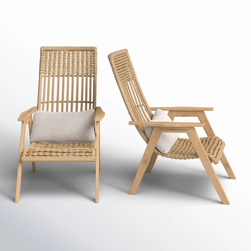 Anyston Outdoor Lounge Chair with Cushion | AllModern