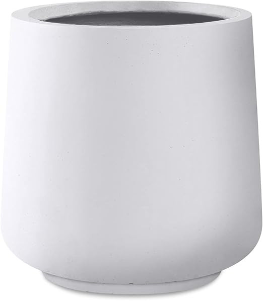 Kante 11.6" Dia Round Concrete Planter,Large Planter Pots Containers with Drainage Holes for Pati... | Amazon (US)