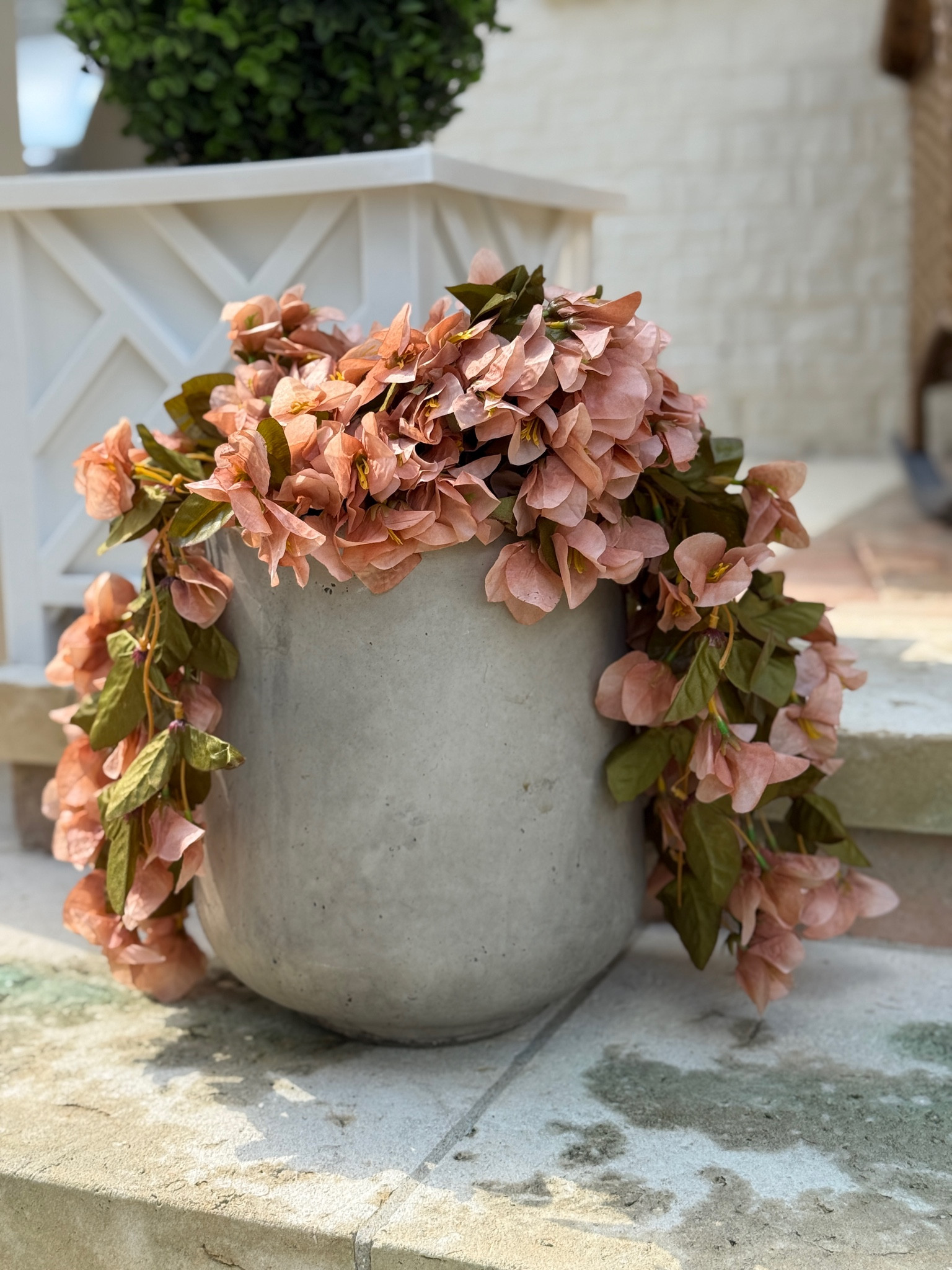 The perfect faux fall plant 🍂✨ all the autumn color without the mess or upkeep. Just cozy, timeless beauty that makes any corner feel like fall magic.
#FallHomeFinds #CozyAndChic #CaseyLeighStyle #IntentionalHome #AmazonHomeFinds #FauxFall #SeasonalTouches #FallDecorGoals #WhimsicalComfort

#LTKSeasonal #LTKHome #LTKFindsUnder50