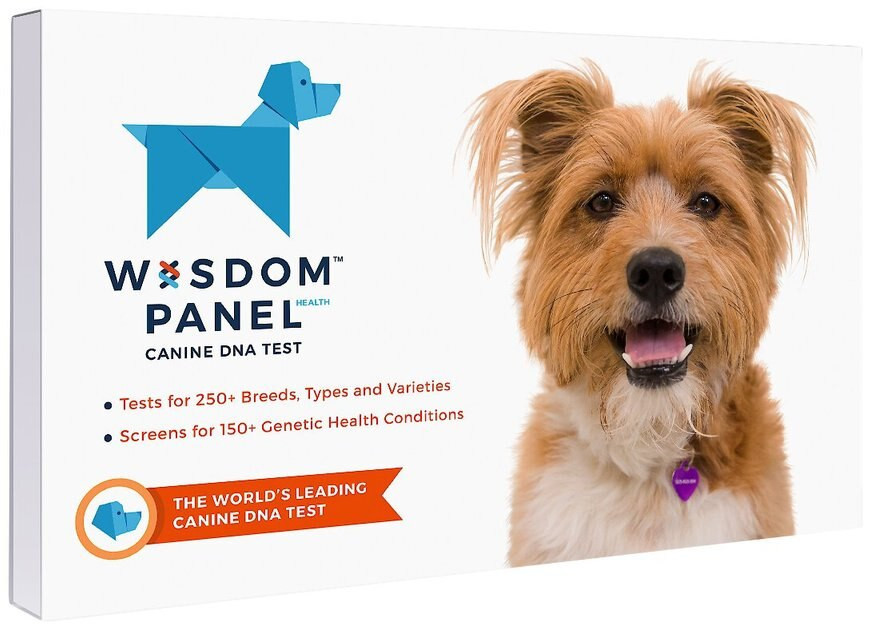 WISDOM PANEL Breed Identification & Health Condition Identification DNA Test for Dogs - Chewy.com | Chewy.com