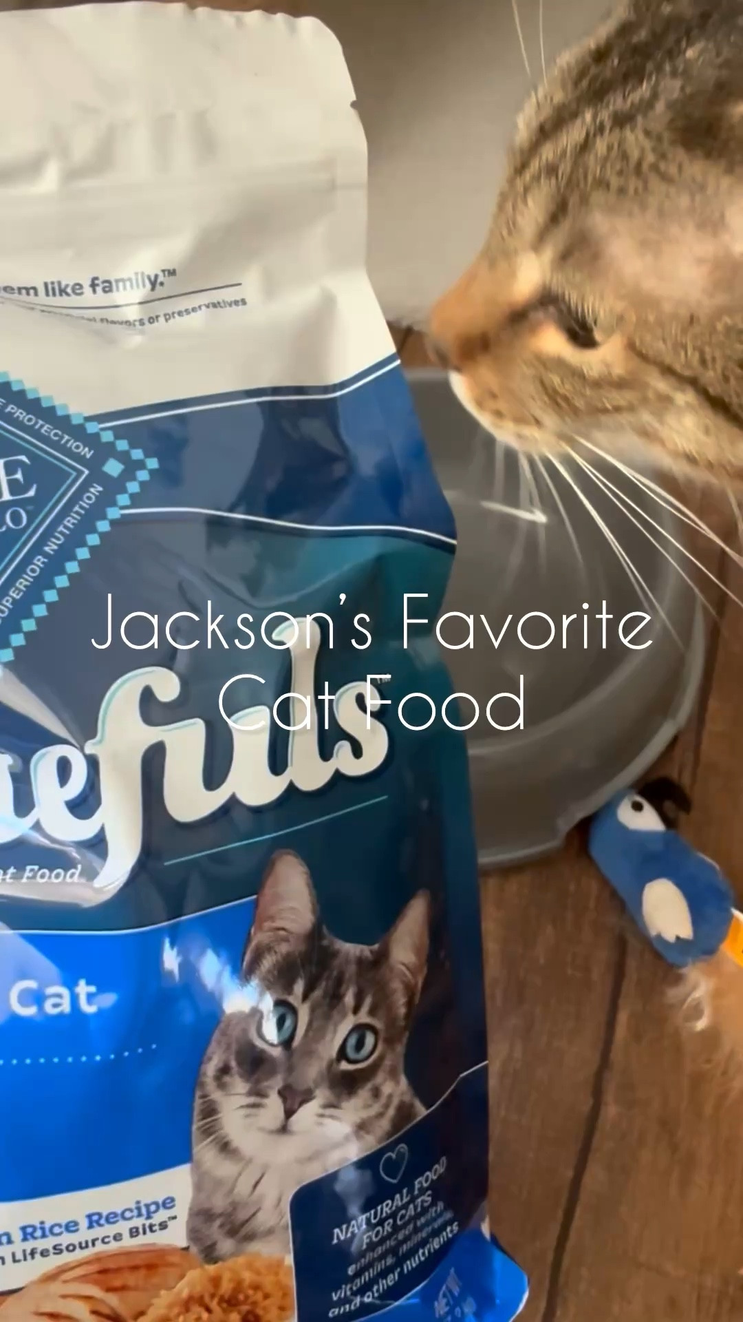 My cat Jackson loves Blue Buffalo Tastefuls Adult Cat Food for indoor cats! It provides all the nutrients he needs since he lives indoors. @Petco has an amazing selection of kitten and cat food based on their needs and life stage! #petcopartner #ad

#LTKfoodie #LTKdayinmylife #LTKHome