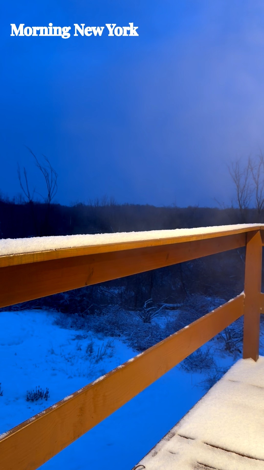 Good Morning!!  My morning routine no matter the weather!!  Fresh Air!🌟


#LTKHoliday #LTKselfcare #LTKmorningroutine