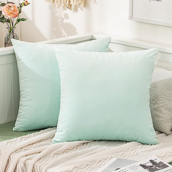 MIULEE Pack of 2, Velvet Soft Solid Decorative Square Throw Pillow Covers Set Cushion Cases Pillo... | Amazon (US)