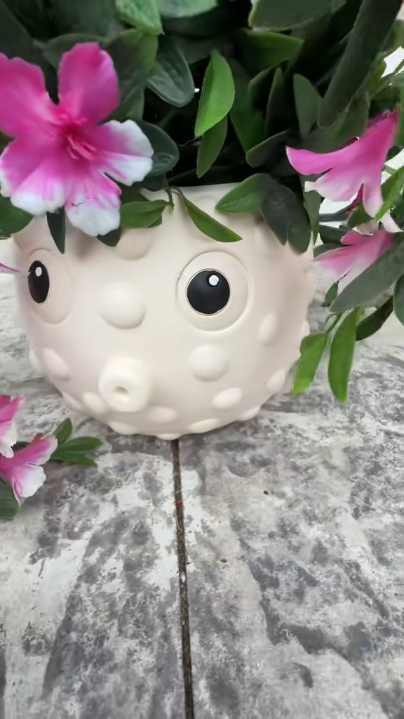 The cutest little nautical planter for spring and summer styling — perfect for a shelf, patio table, porch, or anywhere that needs a tiny coastal moment. The puffer fish detail is adorable, and it works indoors or outdoors for flowers, herbs, or faux greenery. ♡

#LTKHome #LTKFinds #HomeDecor #CoastalDecor #PlanterStyle 

#LTKOver40 #LTKMothersDay #LTKHome