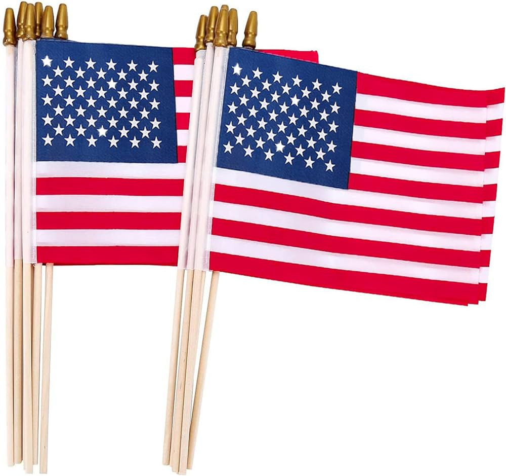 12 Pcs 8x12 Inch Small American Flags on Sticks, US Handheld WoodenStick flag with Kid-Safe Spear... | Amazon (US)