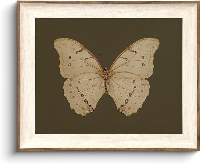 KISSFOX Framed Wall Art Vintage Wall Decor Butterfly Canvas Art Insect Pictures Moody Paintings A... | Amazon (US)