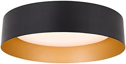 Bargeni Flush Mount Ceiling Light,12.5 inch LED Ceiling Light Fixture,Matte Black with Gold Insid... | Amazon (US)