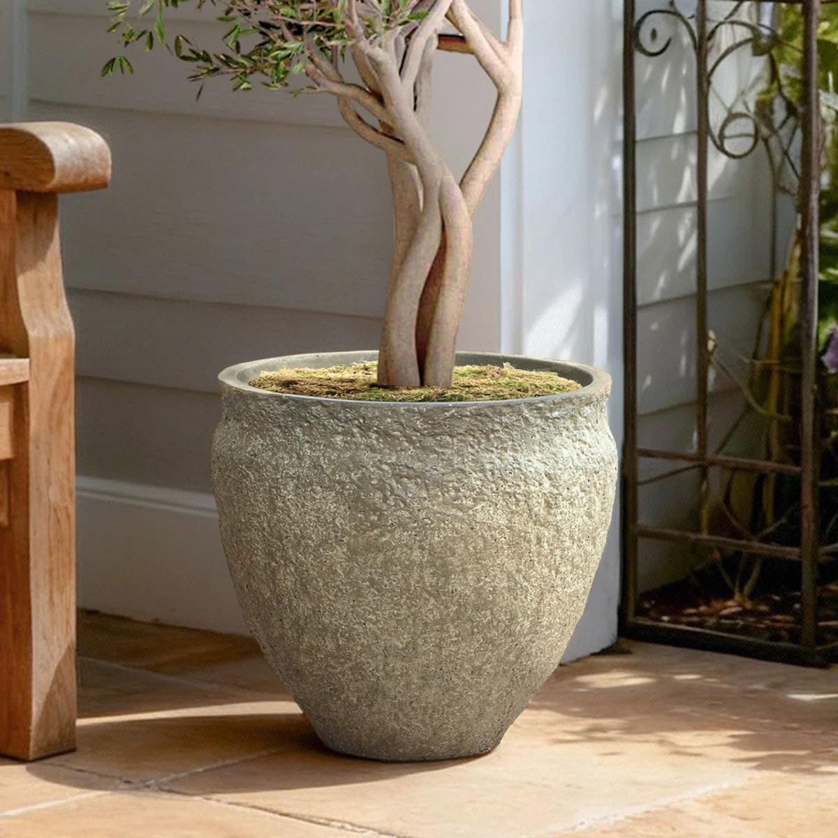 Weathered Stone Finish Round Planter, 16.5" Round, Textured Concrete-Style Pot | Wayfair North America