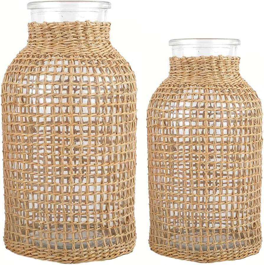 DOITOOL Rattan Vase Boho Woven Glass Vase, Country Rustic Style Wicker Floral Container, Farmhous... | Amazon (US)