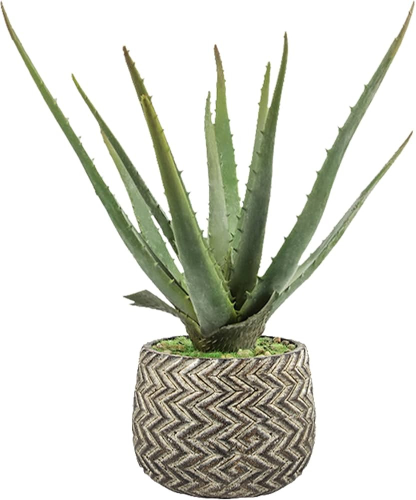 Ferrisland Artificial Succulent Fake Aloe Potted Plant Large Faux Succulent Plants with Antique C... | Amazon (US)