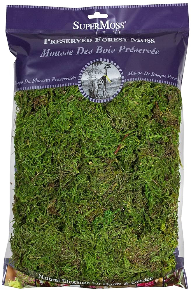 SuperMoss (25322) Forest Moss Preserved, Fresh Green, 8oz | Amazon (US)