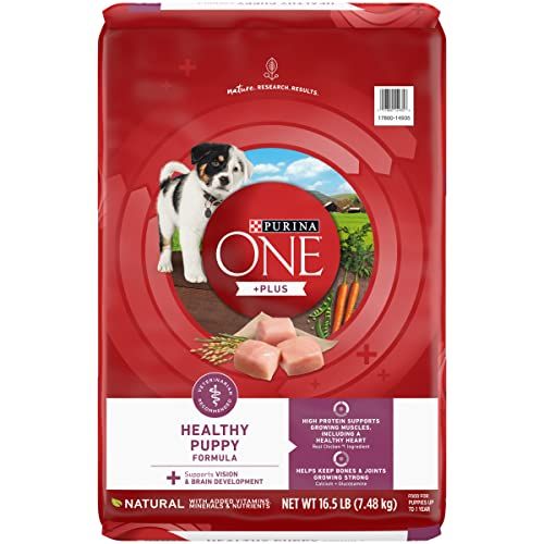 Purina ONE SmartBlend Natural Puppy Dog Food | Amazon (US)