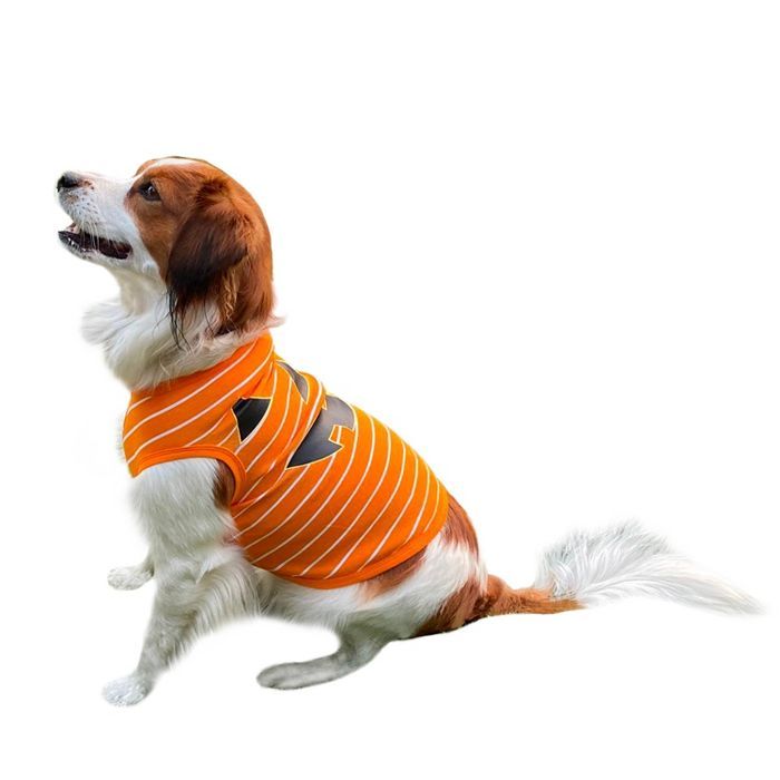 Halloween Pumpkin Dog and Cat Matching Family Pajamas - Orange | Target