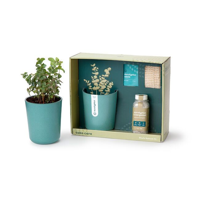 Just Breathe Eucalyptus Spa Gift Set | UncommonGoods