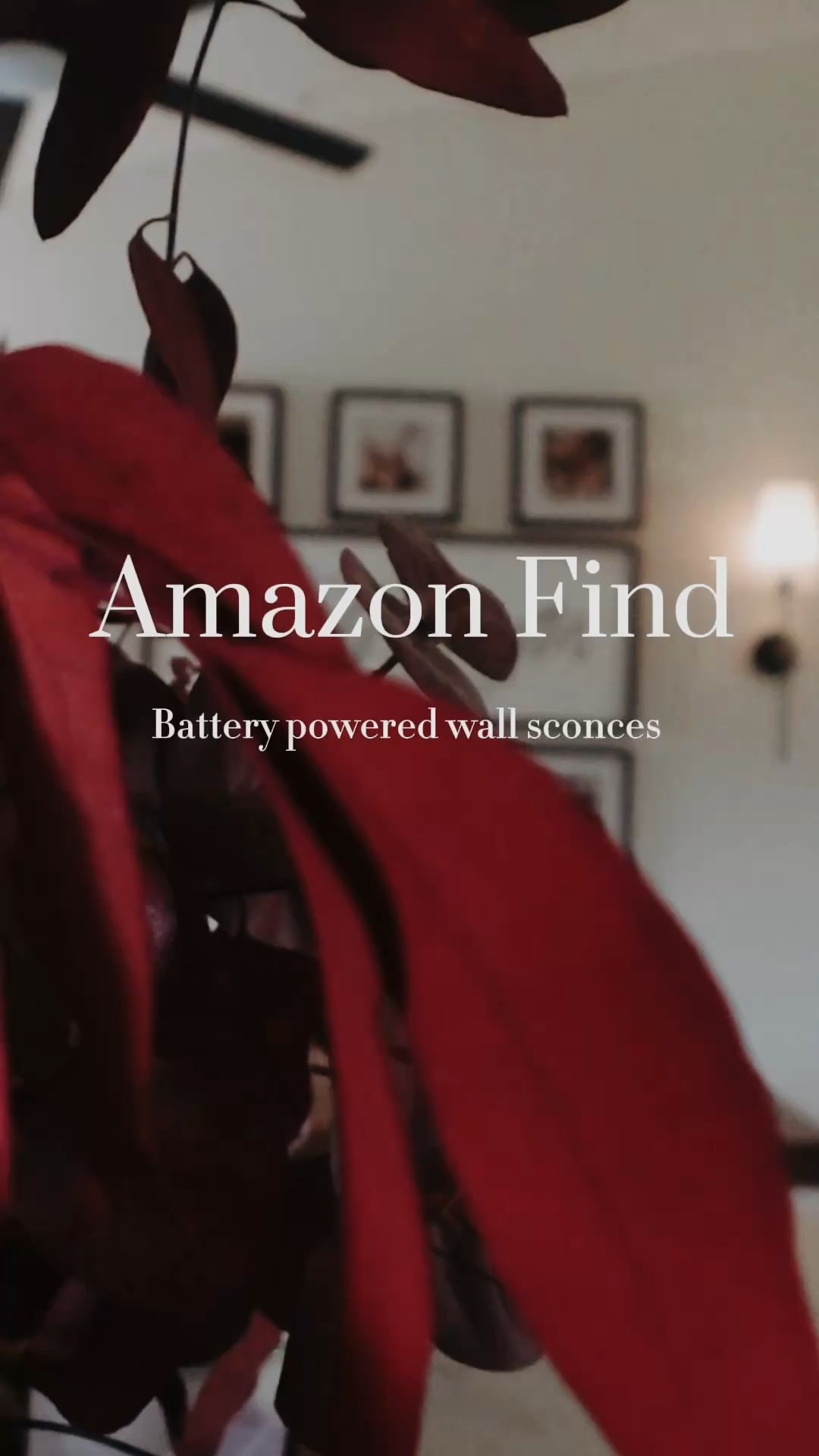 These are by far my favorite purchase this year!



#LTKFindsUnder50 #LTKHome #LTKSaleAlert