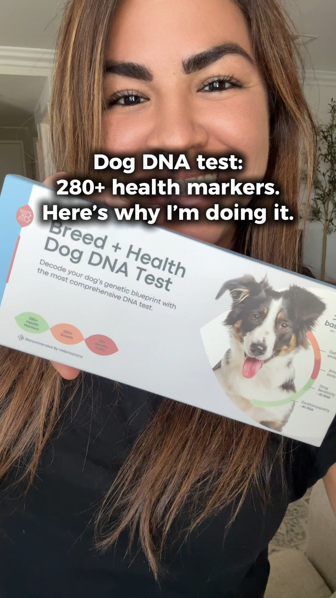 🧬 Dog DNA Test: What’s Really in His Genes?
Even AKC dogs can carry hidden health risks. I used the Breed and Health Dog DNA Test by BasePaws to screen for 280+ genetic markers and uncover breed traits I’d never know just by looking. Swabbing was easy, and results take 4–6 weeks. Linked here if you want to decode your pup’s DNA and plan smarter care. 

#dogdnatest #petcare #pethealth

#LTKPets