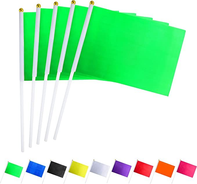 Consummate 25 Pack Solid Green Flag Small Mini Plain Green DIY Flags On Stick,Party Decorations f... | Amazon (US)