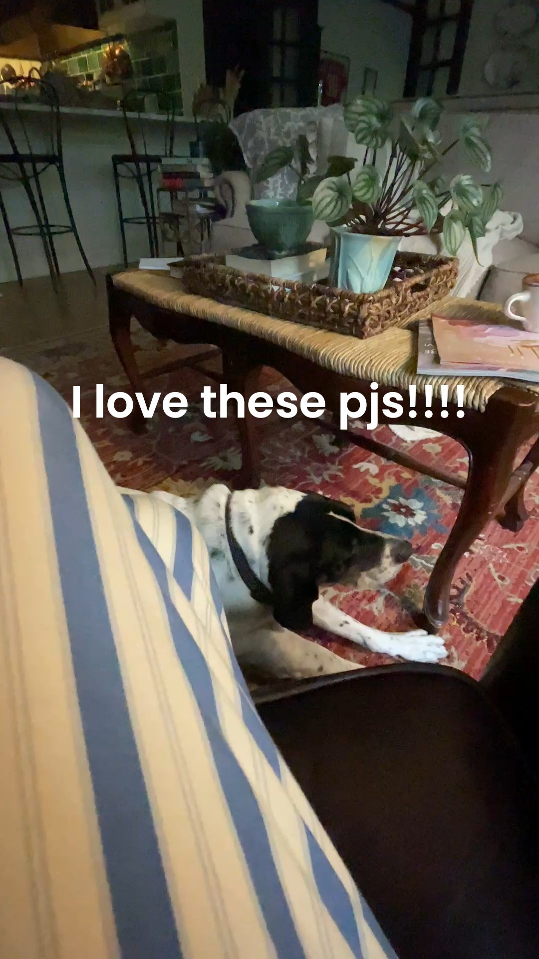 My new pjs are perfect for cozy mornings drinking coffee and playing with Midge.

Several colors available and mine has tomatoes embroidered on the top! 

Plus they’re perfect for fall weather.

🍅🍅🍅

#LTKStyleTip #LTKFindsUnder100 #LTKSeasonal