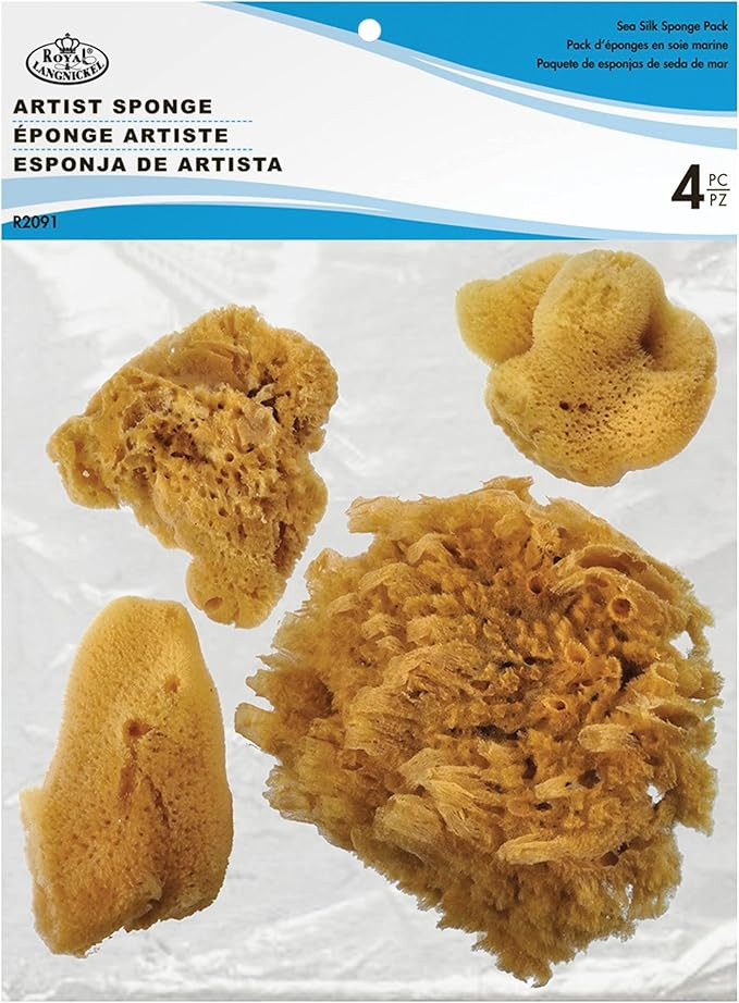 Natural Ocean Artist Sponges, 3 Silk/1 Jumbo, 4/pkg | Amazon (US)