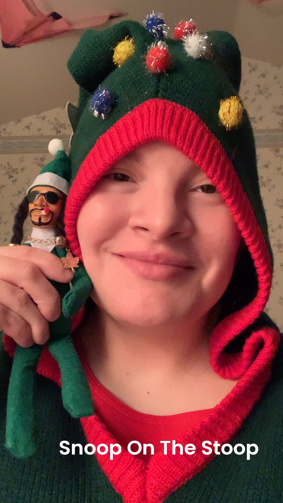 I love my little Snoop On A Stoop! 💚💚💚🎄 🚬 It’s a new Christmas tradition! 

#LTKHoliday #LTKGiftGuide #LTKSeasonal