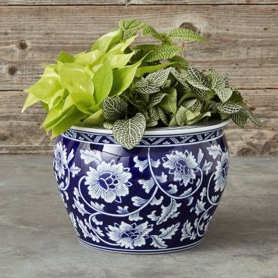 Blue & White Ceramic Planter, Medium | Williams-Sonoma