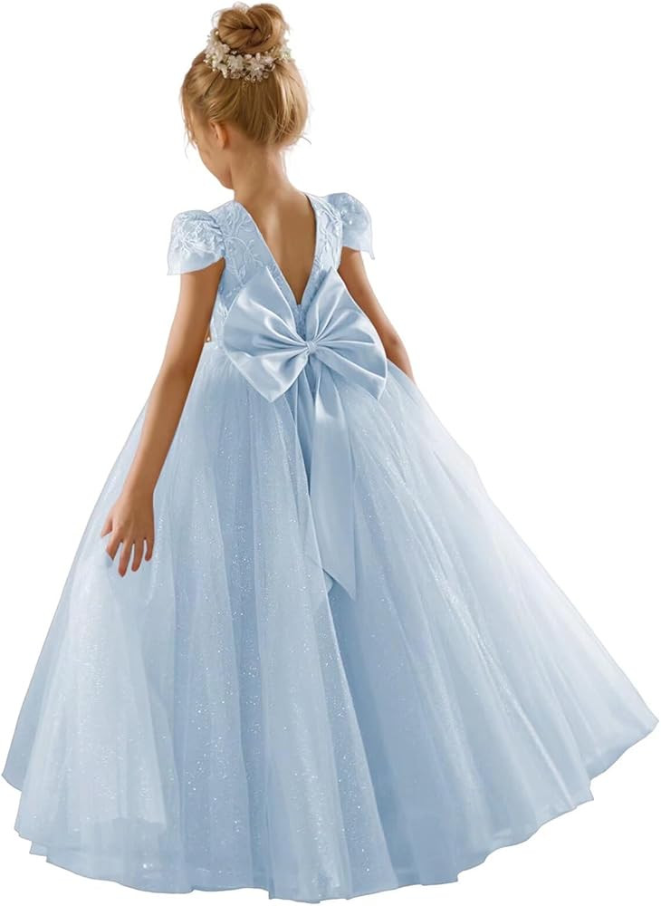JISISANG Flower Girls Lace Cap Sleeve Dress for Wedding Puffy Tulle Back V-Neck Pageant Prom Ball... | Amazon (US)
