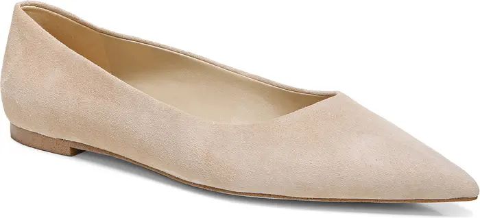 Sam Edelman Wanda Pointed Toe Flat | Nordstrom | Nordstrom