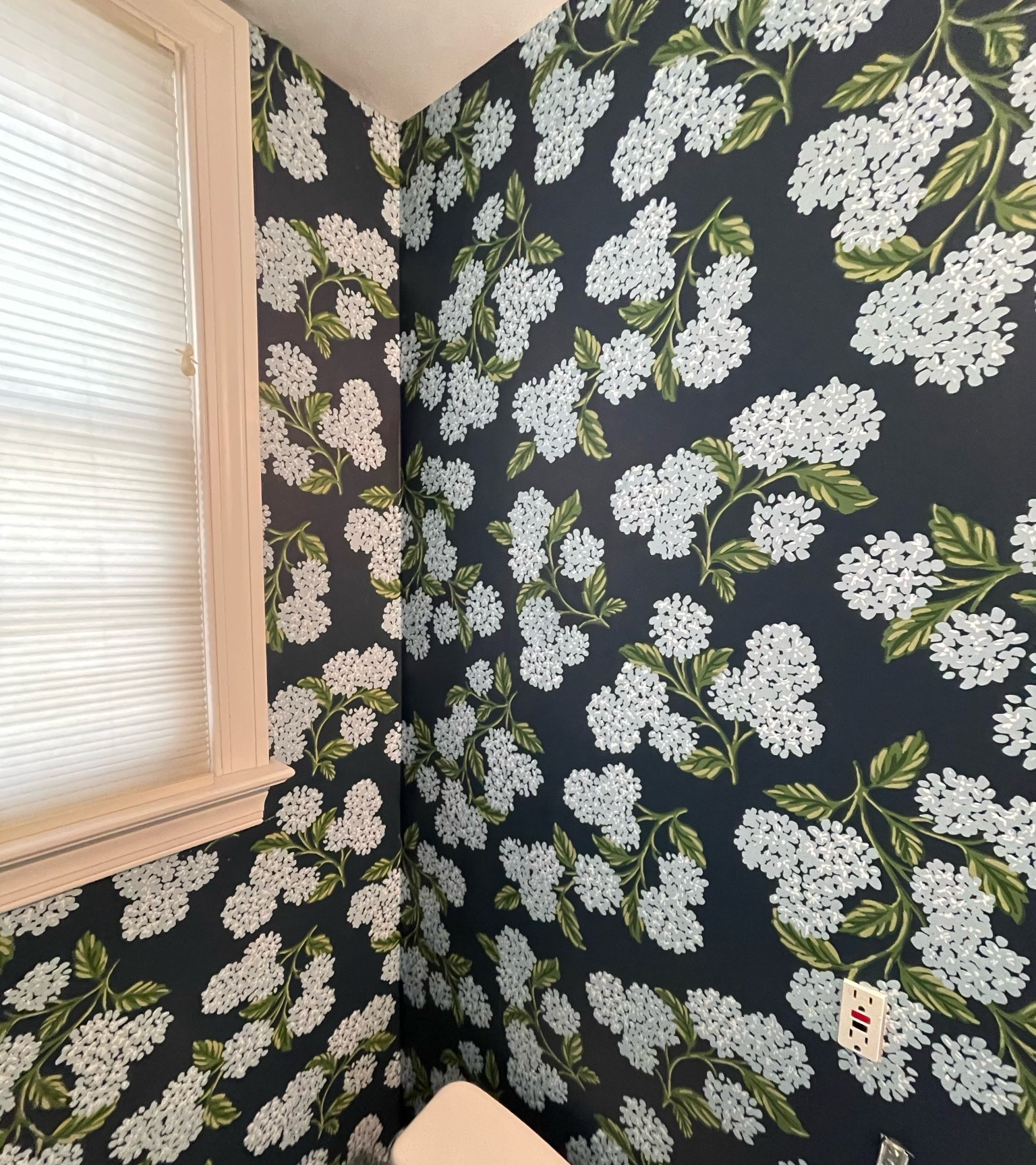 Hydrangeas