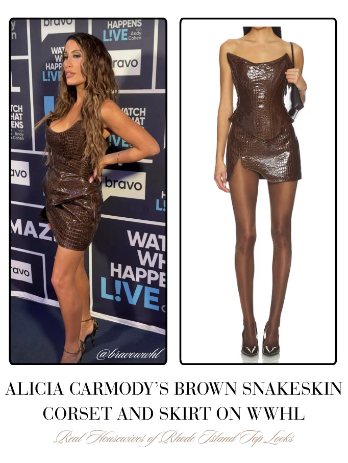 Alicia Carmody's Brown Snakeskin Corset and Skirt on WWHL 📸= @bravowwhl 

 