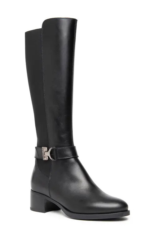 NeroGiardini Tall Block Heel Boot in Black at Nordstrom, Size 11Us | Nordstrom