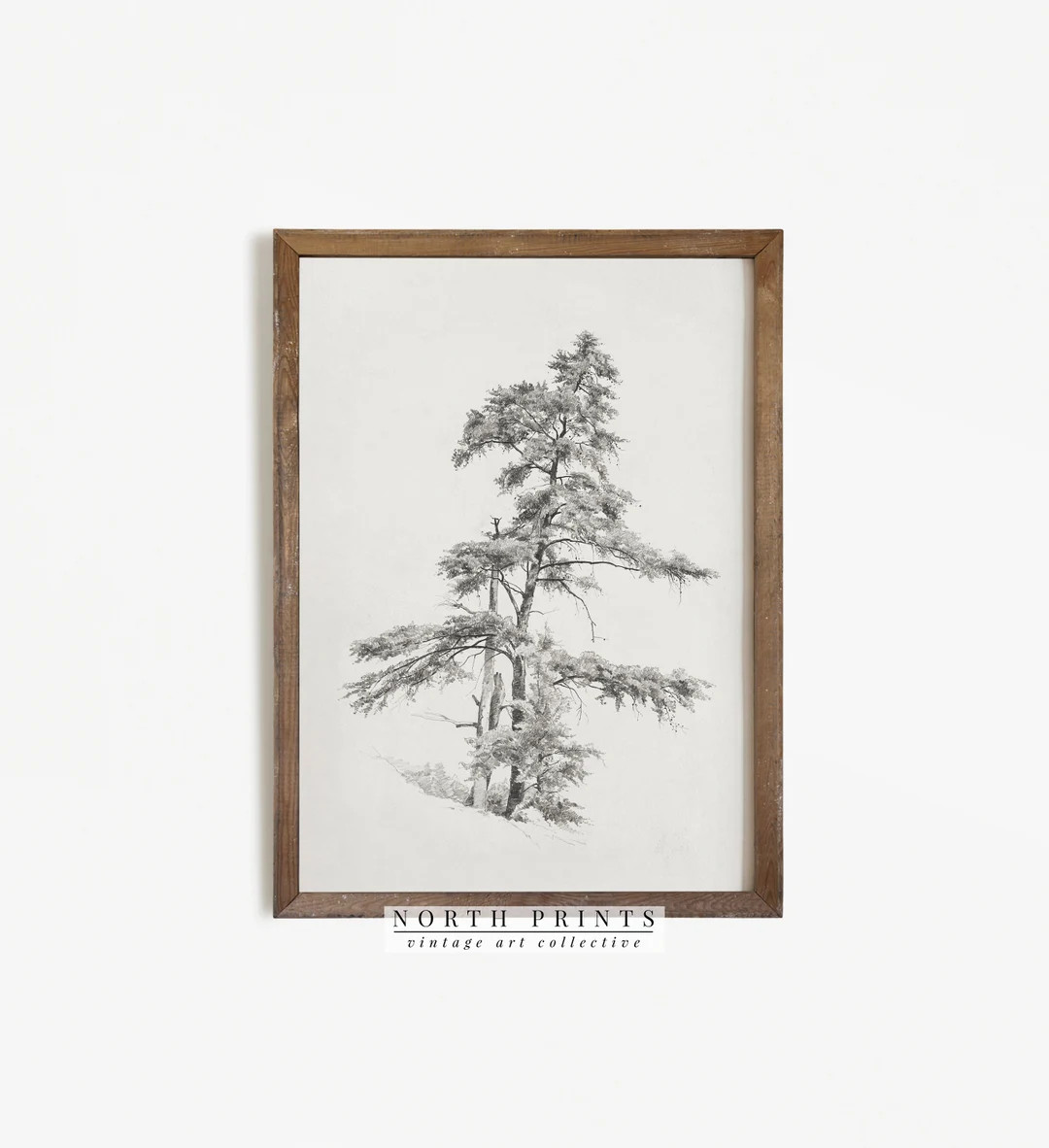 Pine Tree Print | Vintage Tree Sketch Art | Antique Drawing PRINTABLE #454 | Etsy (US)