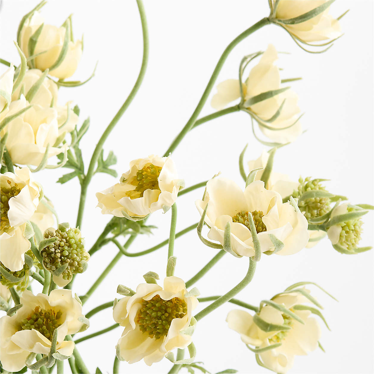 Faux Light Yellow Flannel Flower 31" | Crate & Barrel | Crate & Barrel