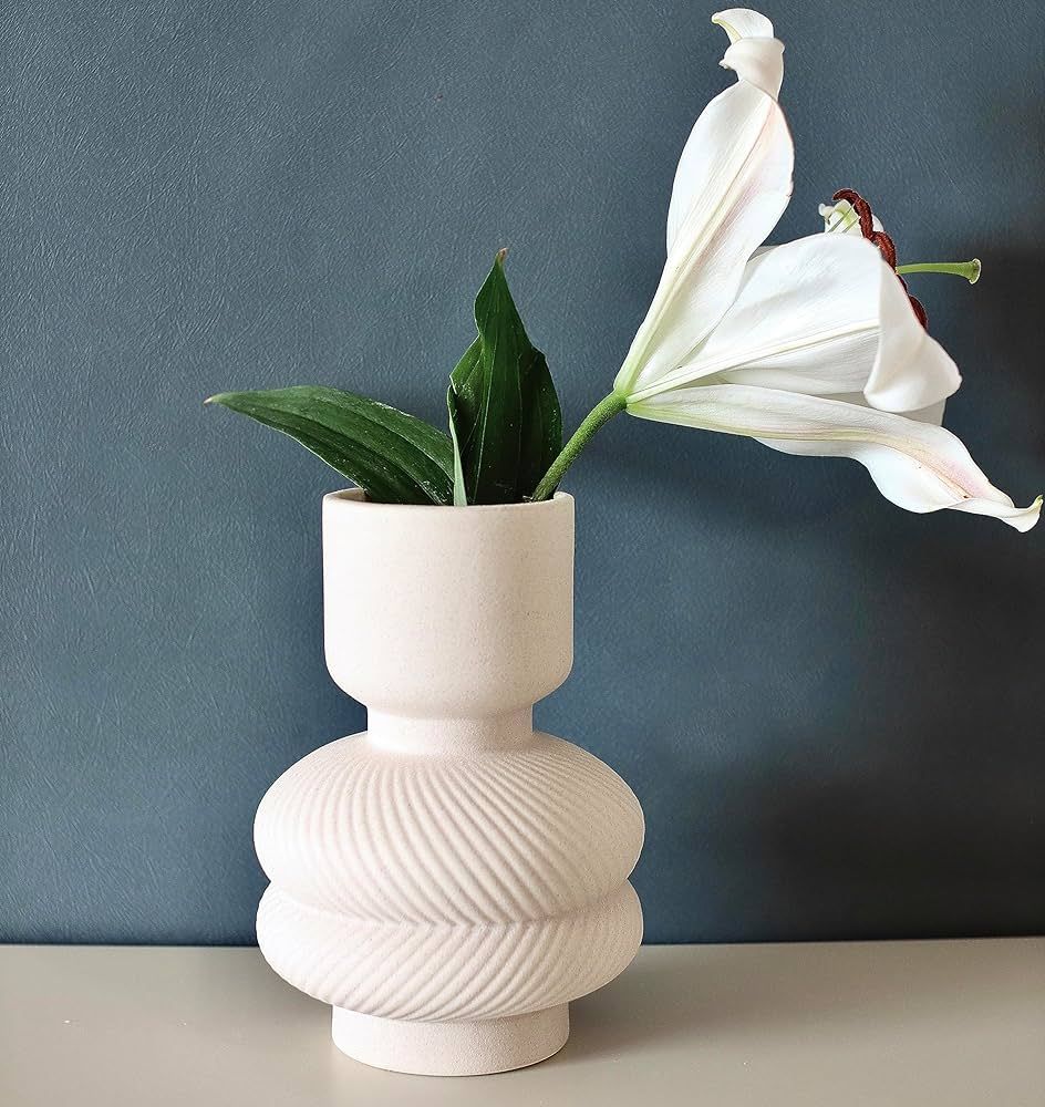 Carrot's Den Off White Ceramic Vase | Ribbed Vase for Pampas Grass, Wide Opening Mouth, Boho Home... | Amazon (US)