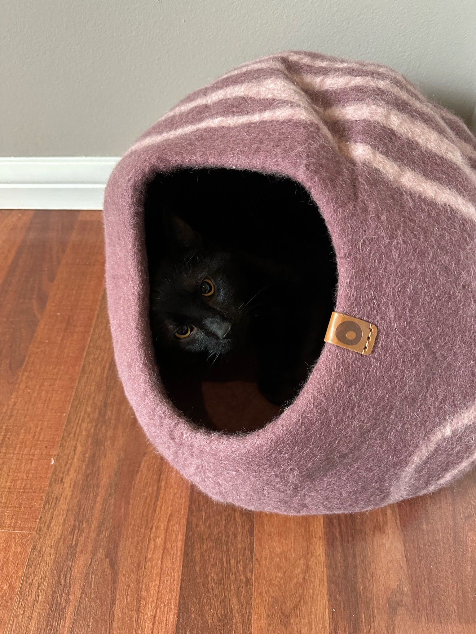 The PERFECT cat cave for cats that love a cozy burrow! This one is made of wool and comes with a cute little wool ball for your cat to play with too!

#LTKhome #LTKsale #LTKcanada